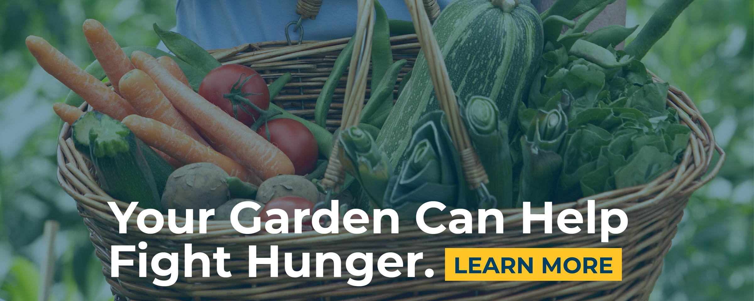 Your Garden Can Help Fight Hunger